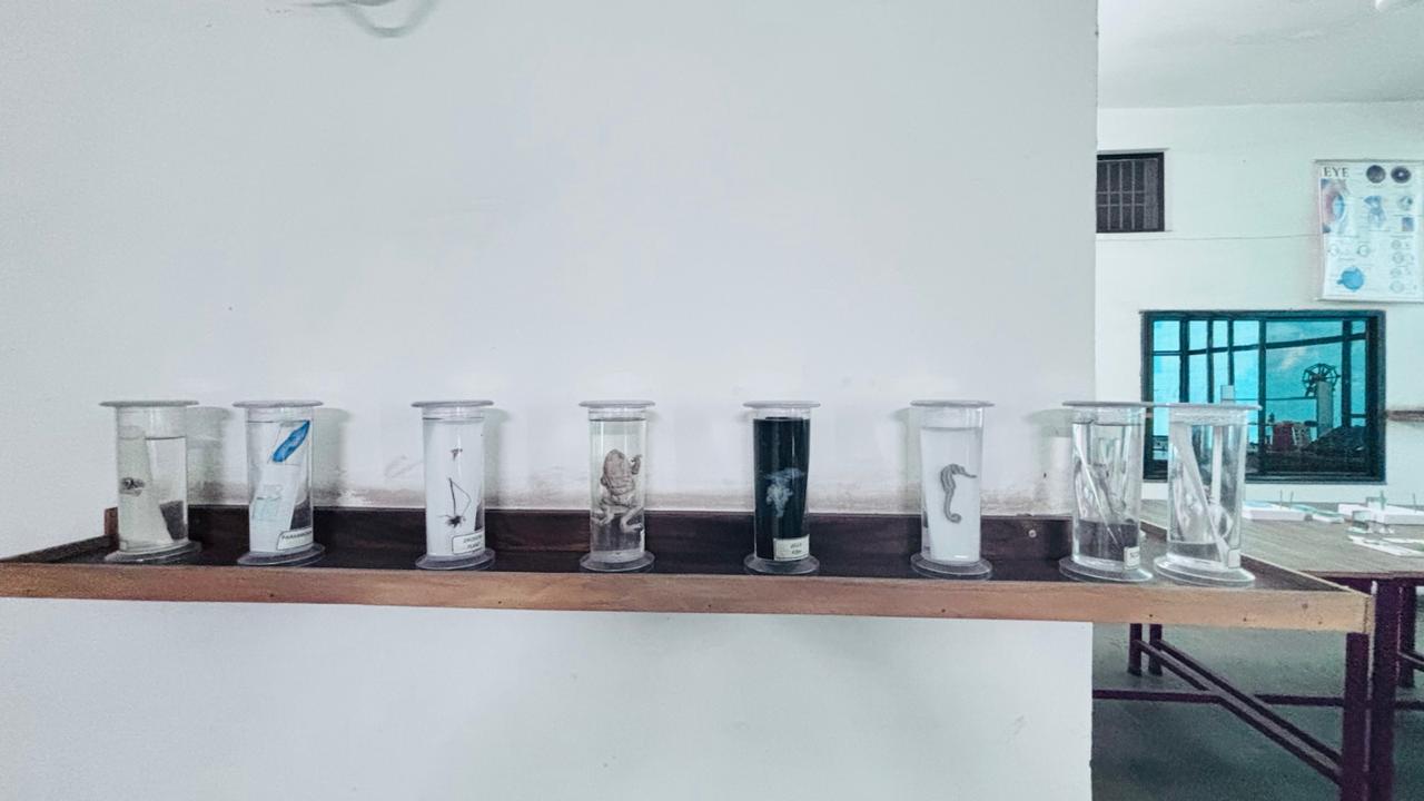 composite lab  MDS International school